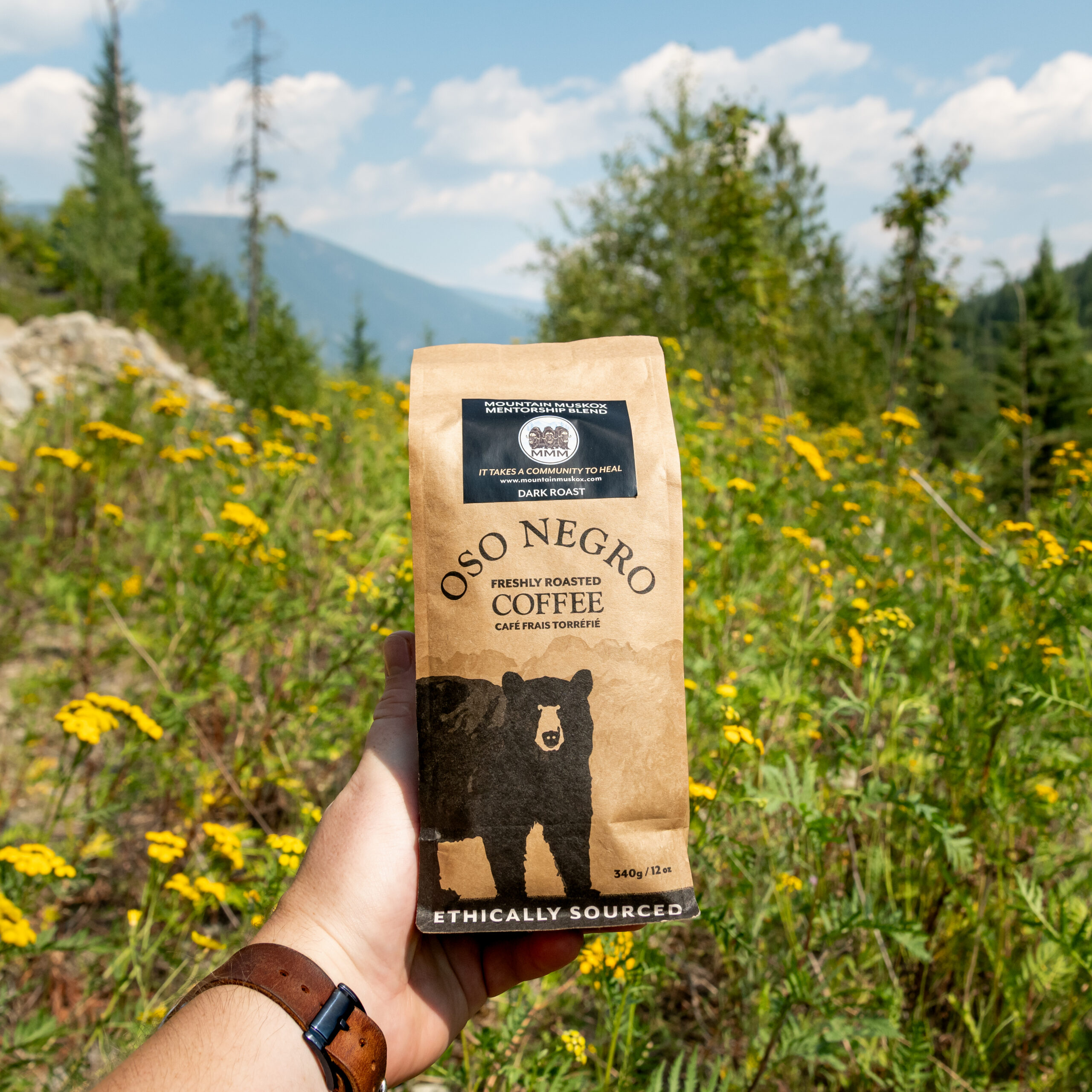 Mountain Muskox Mentorship Blend